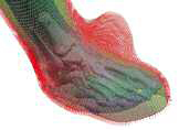 This image, used for developing the last on which the boot will be based, combines scans of boots, feet, and existing shoe lasts.