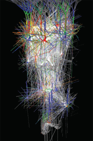A neural network as visualized using NVIDIA Tesla.